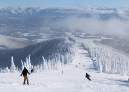 Skiers descend a snowy mountain slope at Schweitzer Mountain Resort, surrounded by snow-covered trees and distant hills under a clear blue sky, epitomizing the thrill found in every page of the Ski Season Guide.