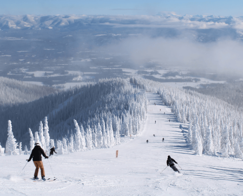 Skiers descend a snowy mountain slope at Schweitzer Mountain Resort, surrounded by snow-covered trees and distant hills under a clear blue sky, epitomizing the thrill found in every page of the Ski Season Guide.