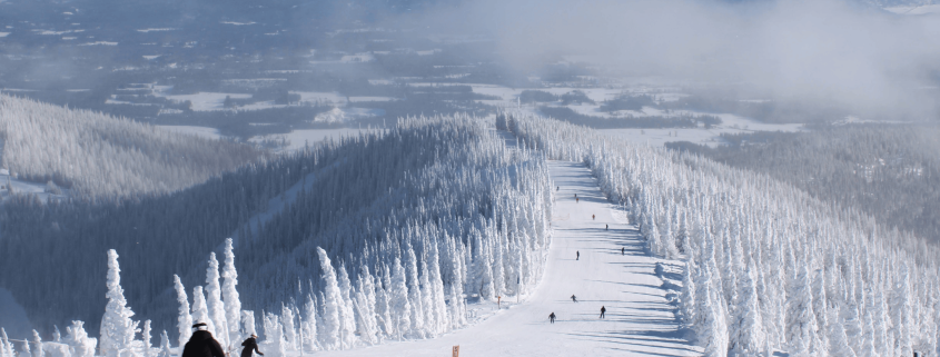 Skiers descend a snowy mountain slope at Schweitzer Mountain Resort, surrounded by snow-covered trees and distant hills under a clear blue sky, epitomizing the thrill found in every page of the Ski Season Guide.