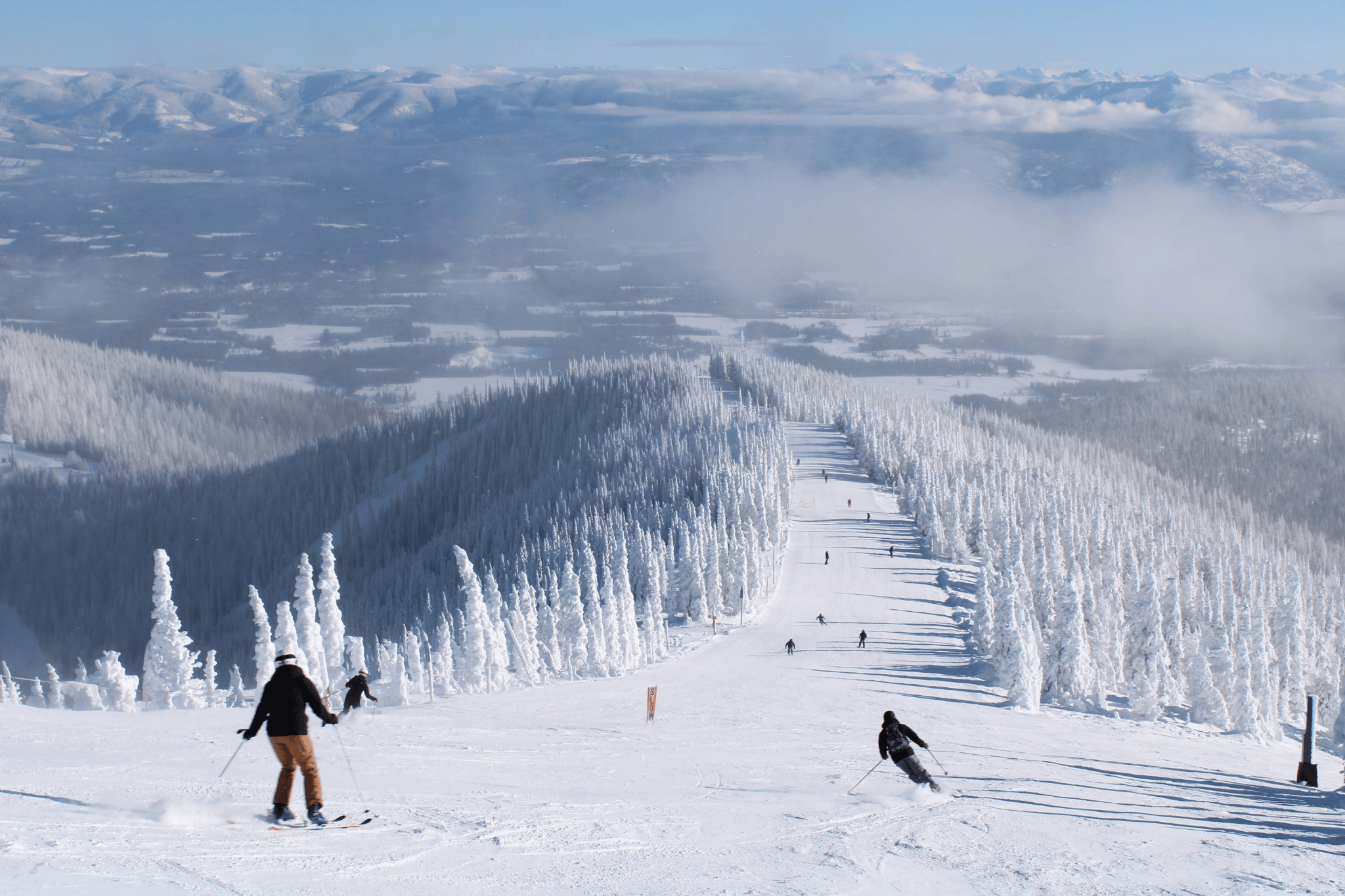 Skiers descend a snowy mountain slope at Schweitzer Mountain Resort, surrounded by snow-covered trees and distant hills under a clear blue sky, epitomizing the thrill found in every page of the Ski Season Guide.